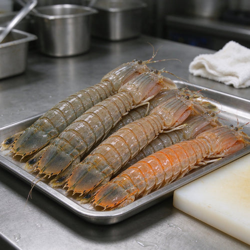 Fresh Mantis Shrimp for Gourmet Dishes