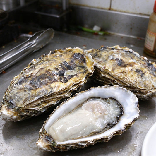 Fresh Raw Oysters in Half Shell