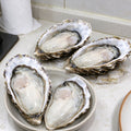 Fresh Raw Oysters in Half Shell